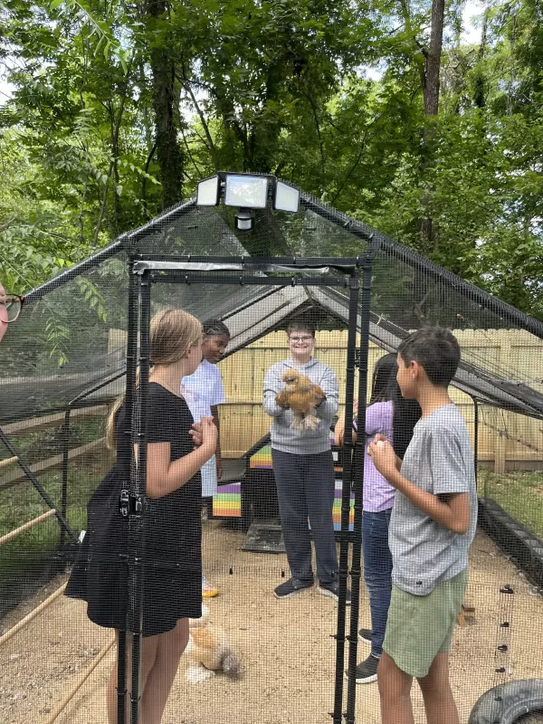 Adolescents holding chicken in a chicken coop