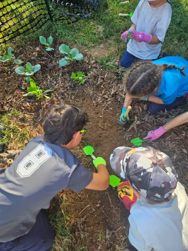 4 children digging in dirt to plant seeds in a garden