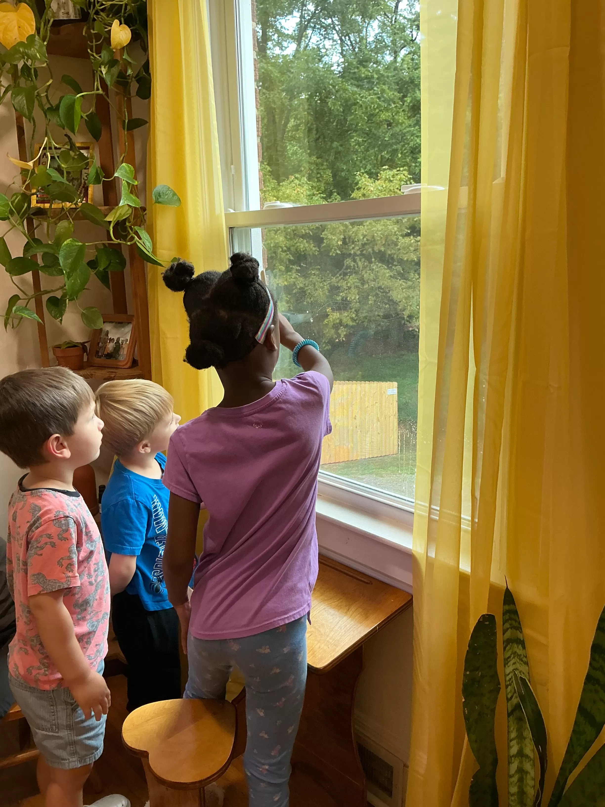 Looking out the window