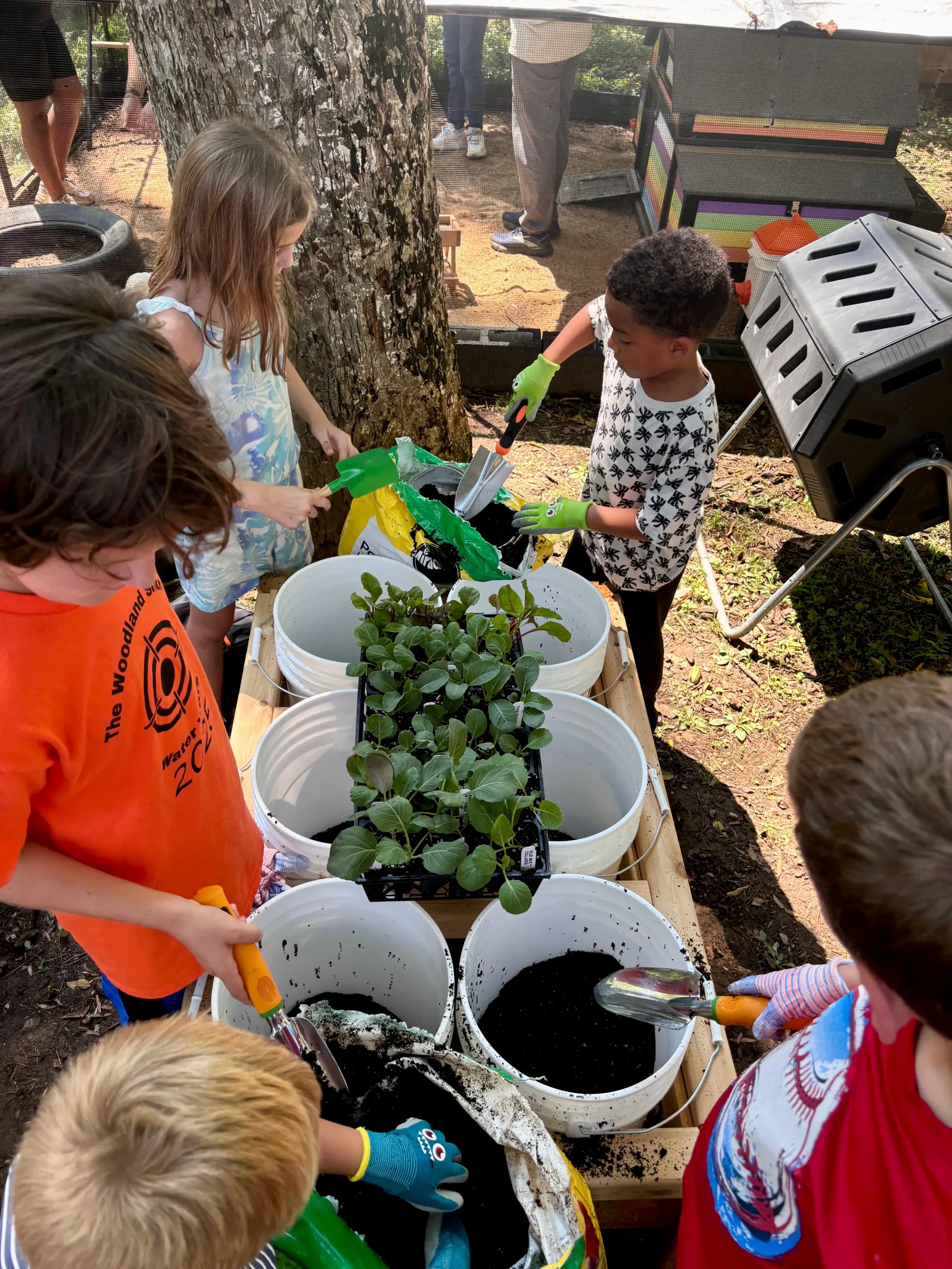 Homesteading for children in Charlotte, NC