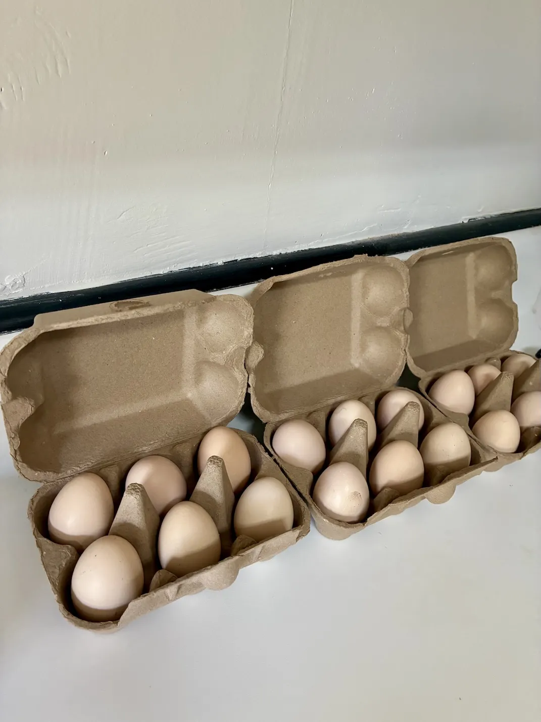 Egg carton with eggs